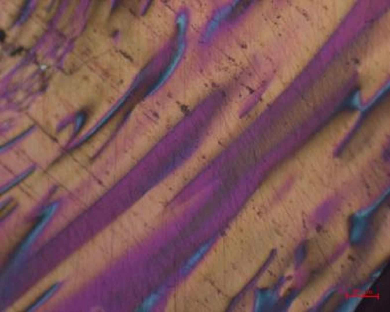 e5fd923c-2337-4b68-9ae1-ac69177d305a.jpg
