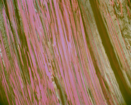 256fb700-24ad-4a09-ae48-79ea633d077c.png