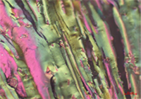 1453d68e-89fa-4c49-a69e-3e2f67c92c51.png