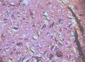 7f21d086-81d5-4aca-9b3c-113469ab2c17.png