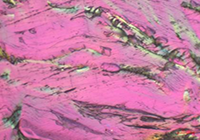 68f08b52-7de2-4ab3-b440-c7988bbfe607.png